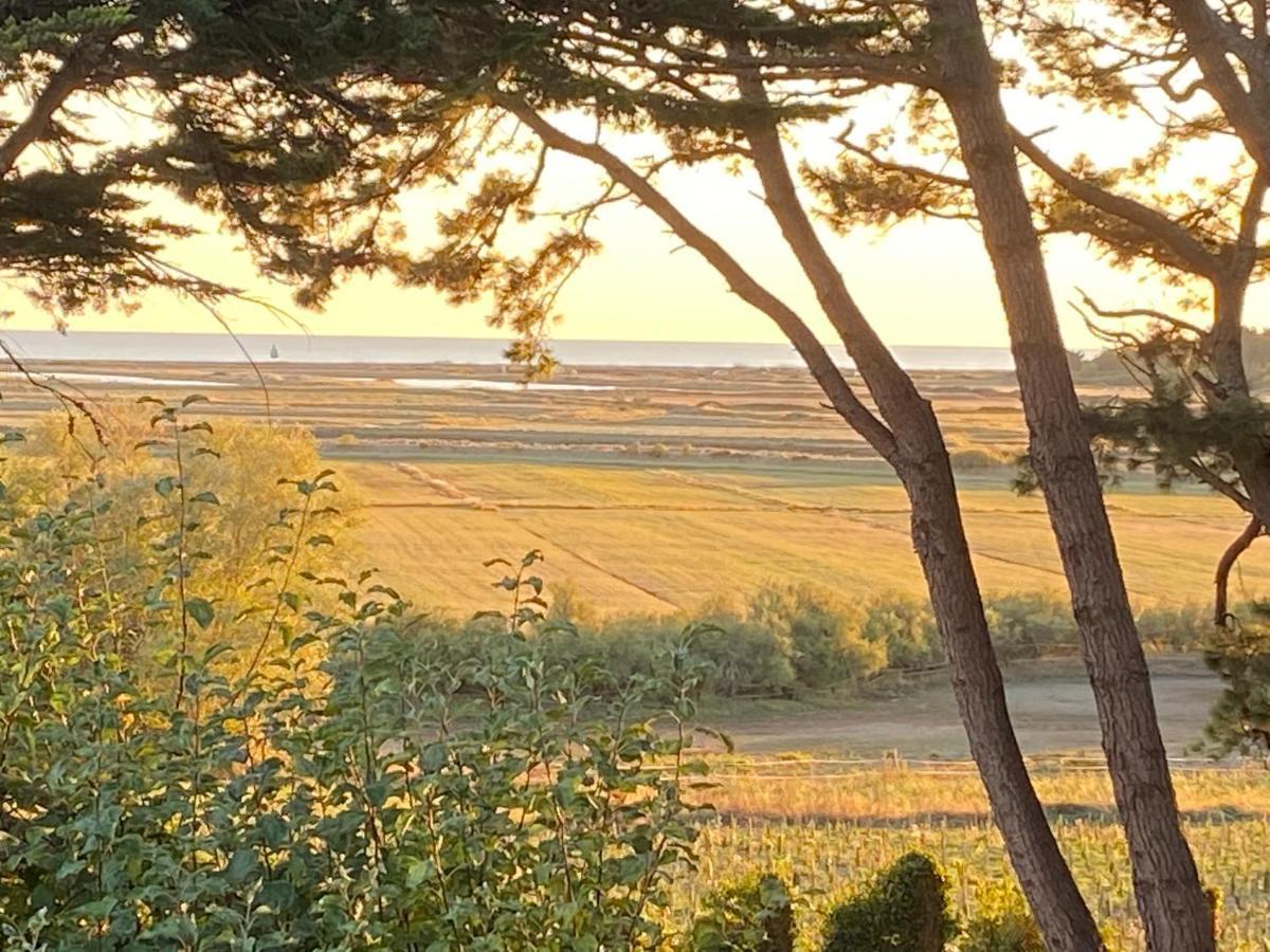 Vieilles Vignes Vue Vakantiehuis *